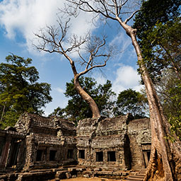 CAMBODIA-006.jpg