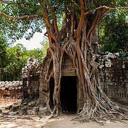 CAMBODIA-018.jpg