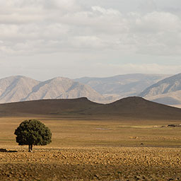 MOROCCO-023.jpg