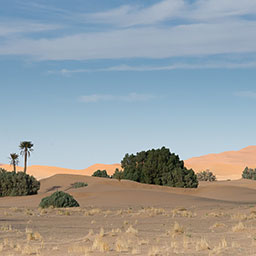 MOROCCO-026.jpg