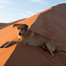 MOROCCO-031.jpg