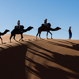 MOROCCO-035.jpg