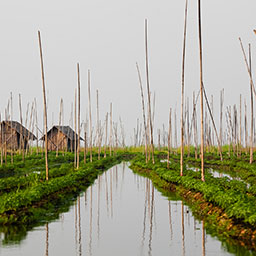 MYANMAR-010.jpg