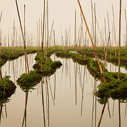 MYANMAR-019.jpg