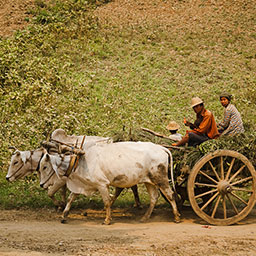 MYANMAR-060.jpg