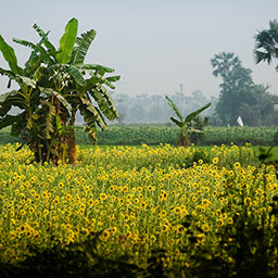 MYANMAR-069.jpg